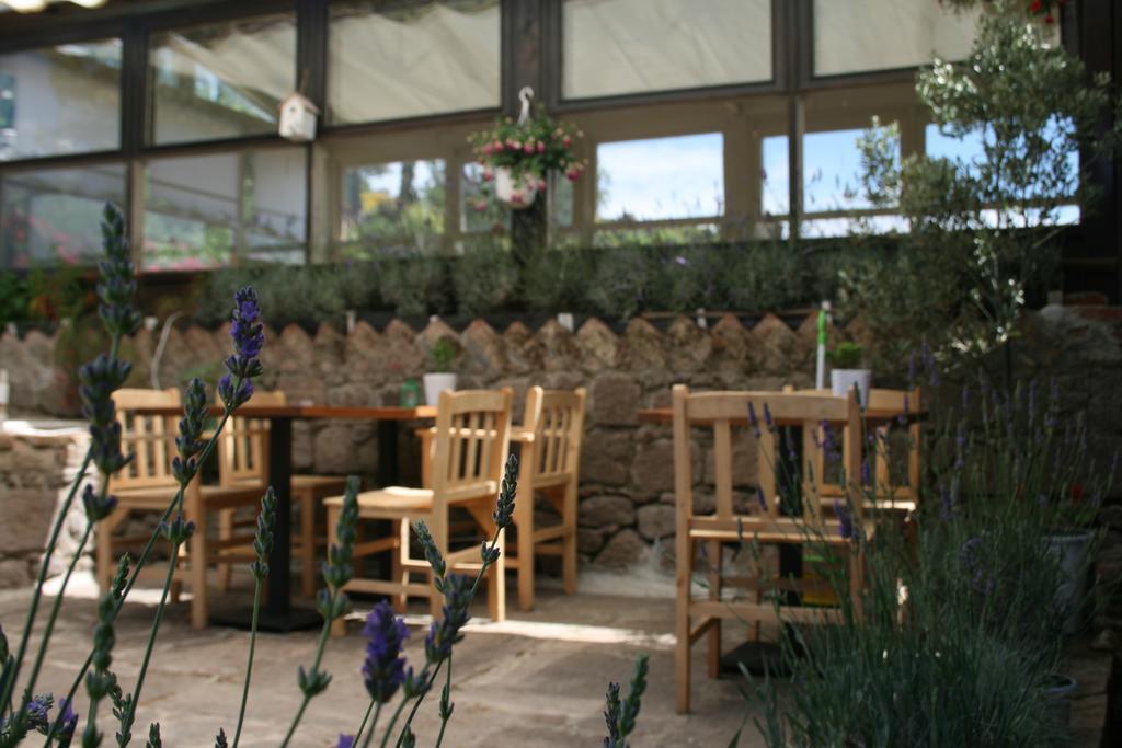 Assos Bohemian Hotel מראה חיצוני תמונה