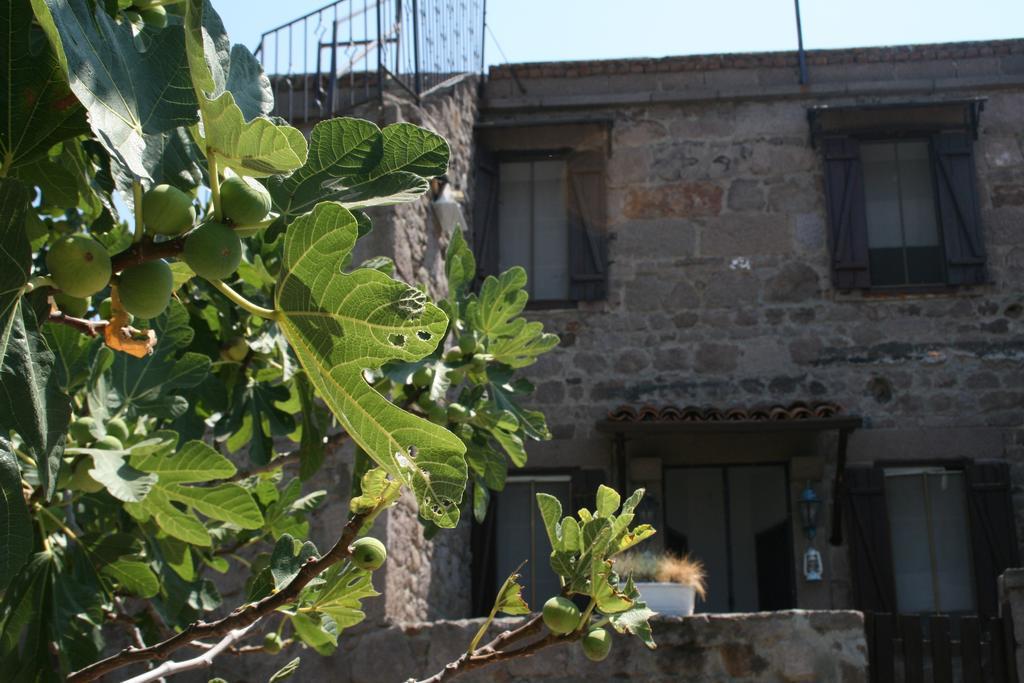 Assos Bohemian Hotel מראה חיצוני תמונה